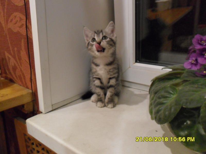 Прикрепленное изображение